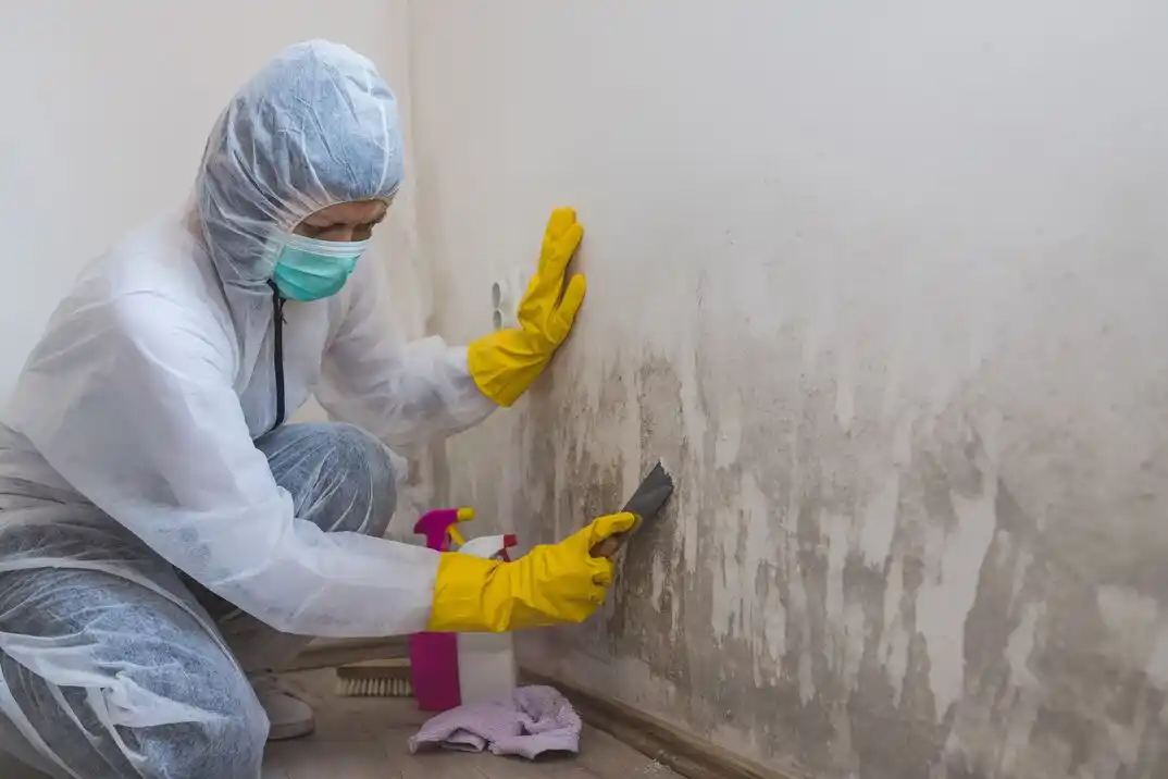 water damage restoration service Houston Park